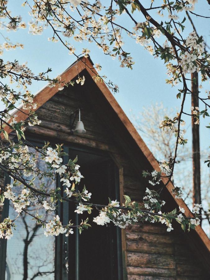 Visoko Gorani Cottage Exteriör bild